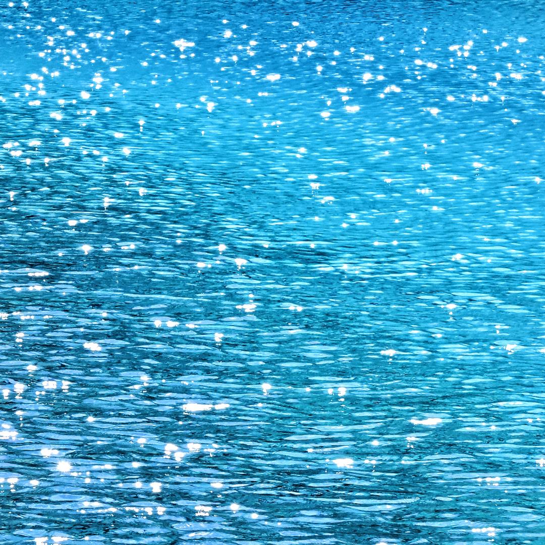 西瓜·太凉🦋