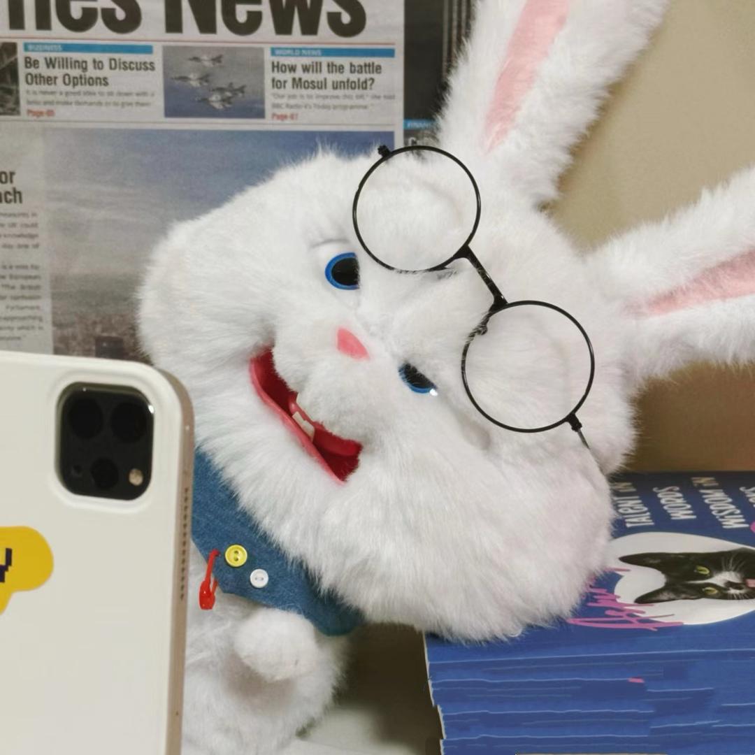 🌈呆呆小霸王