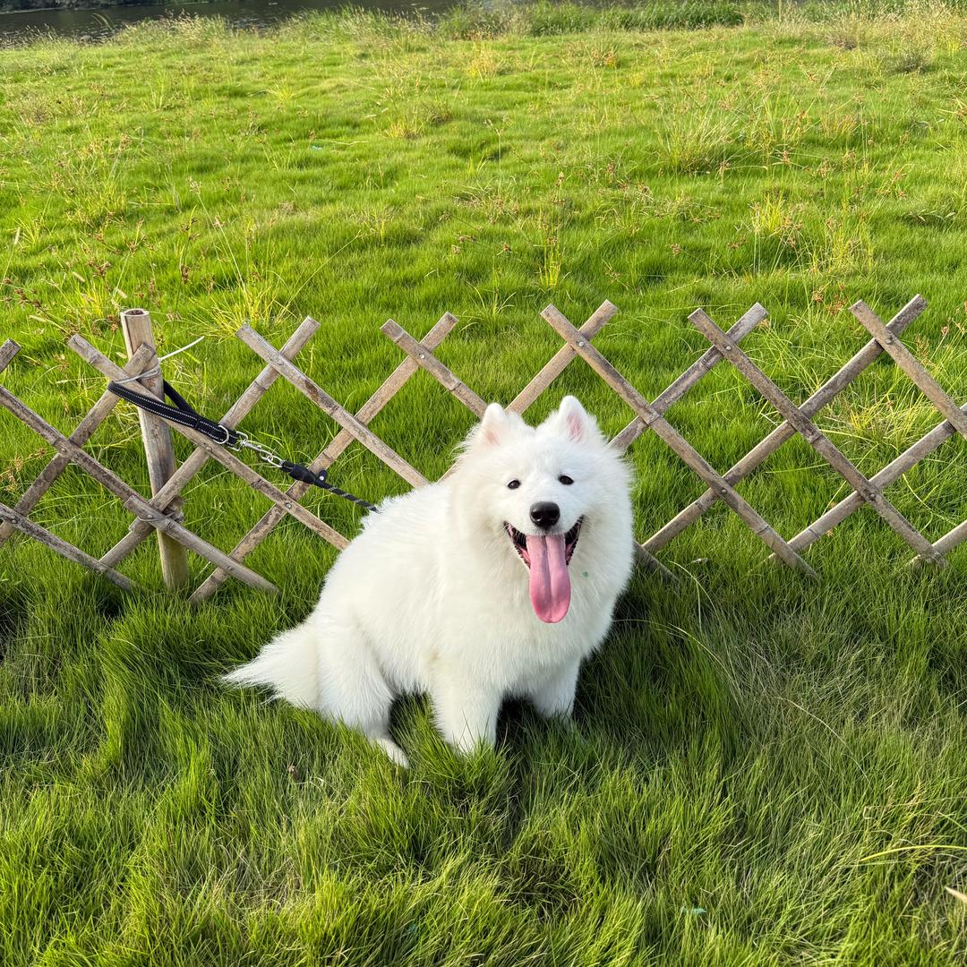 不要吵七吵八