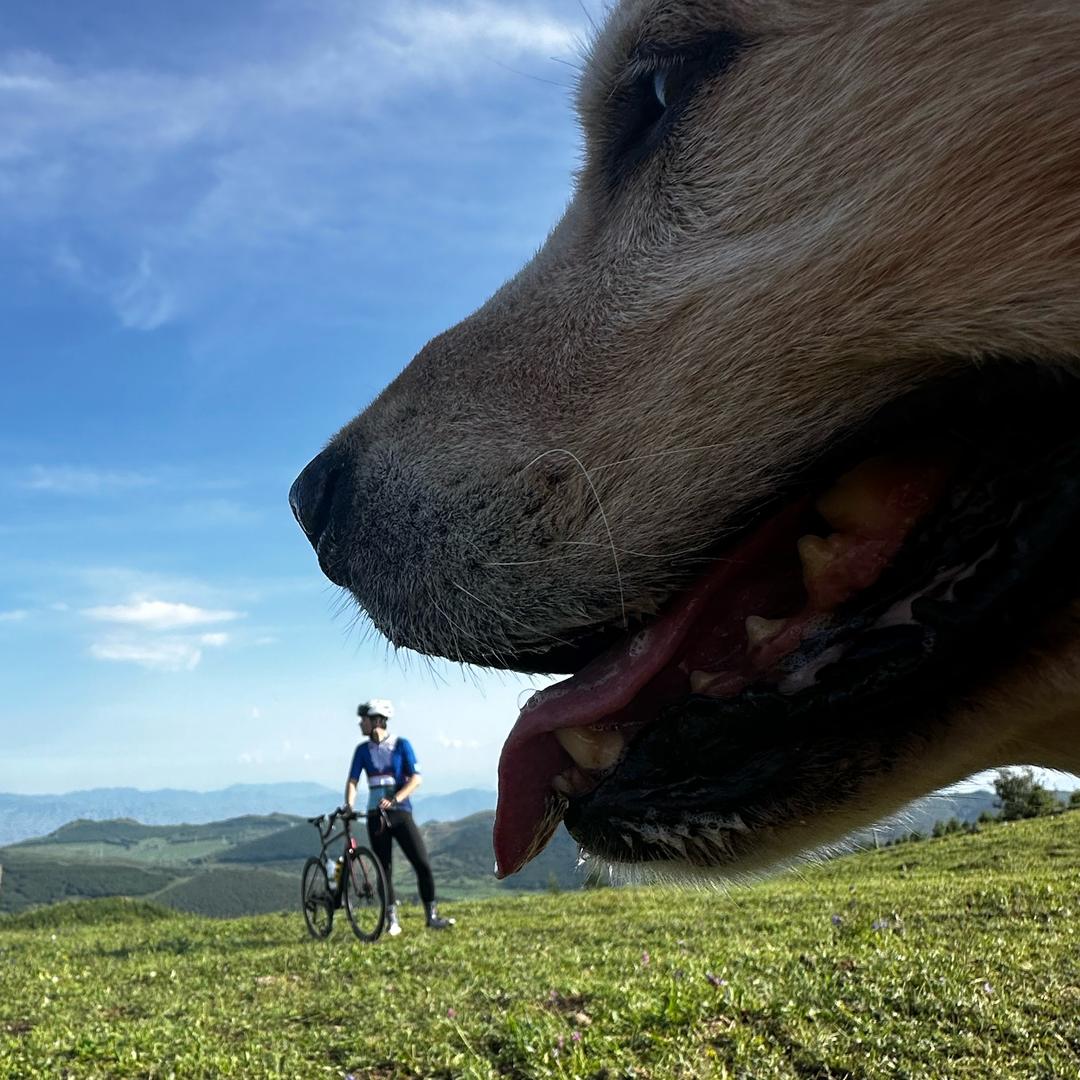 听音乐剧骑行的金坷垃