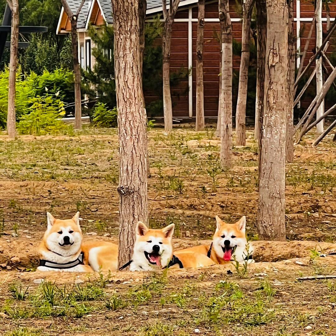 @玲子（起点）