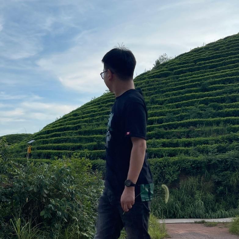 五木茶叶