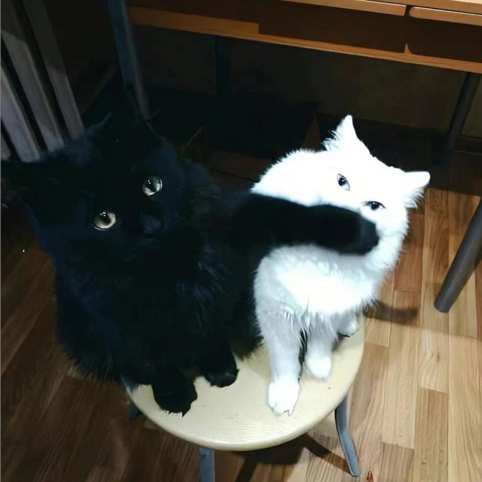 裤裤ㅤ