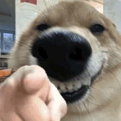 流心