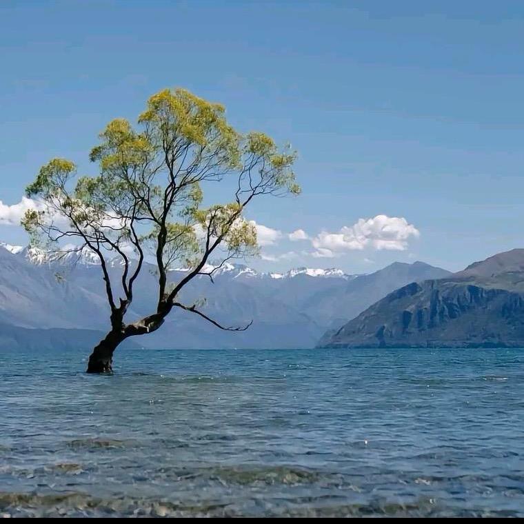 人力资源—小梅