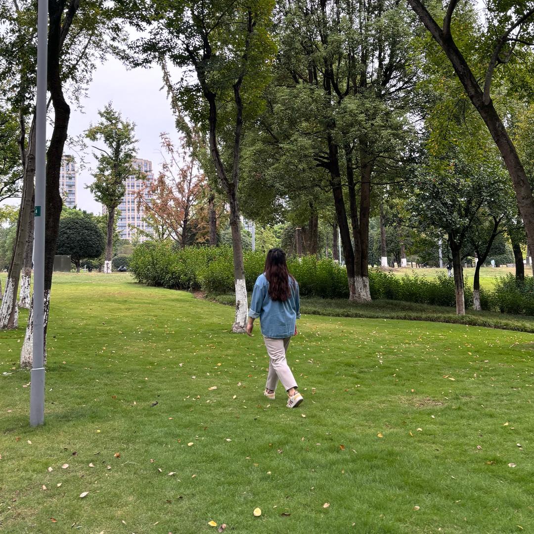 向南而生🌻