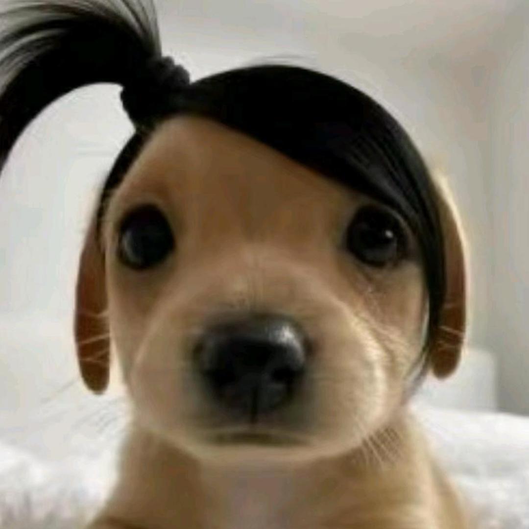 眼睛