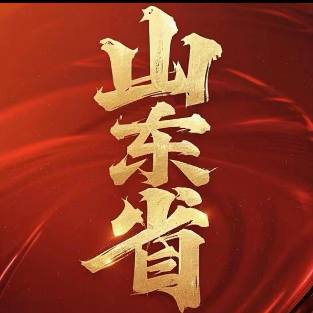 CF林毅（山东省）YY1897
