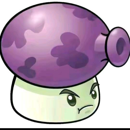 🟣🟣🟣🟣🟣🟣      🪳