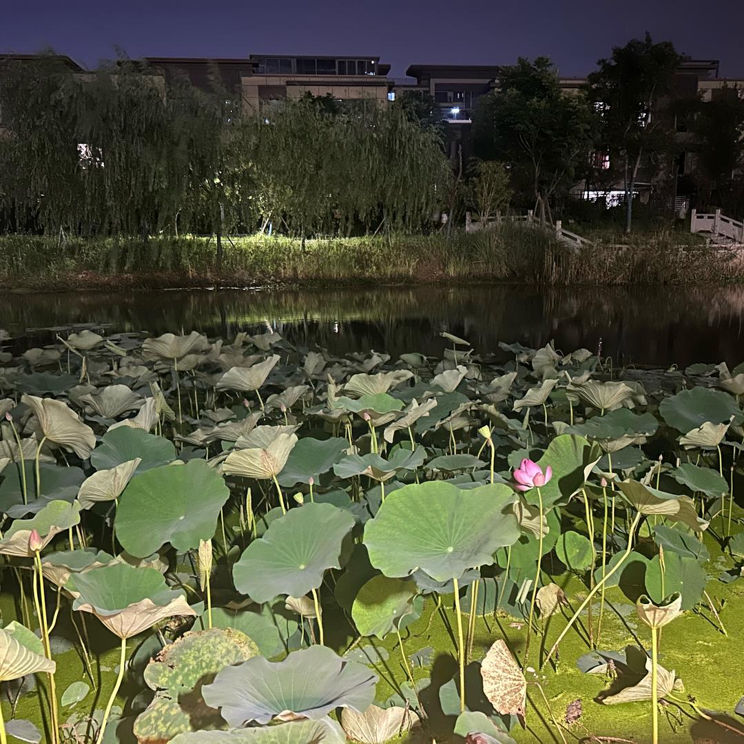 袁珂达
