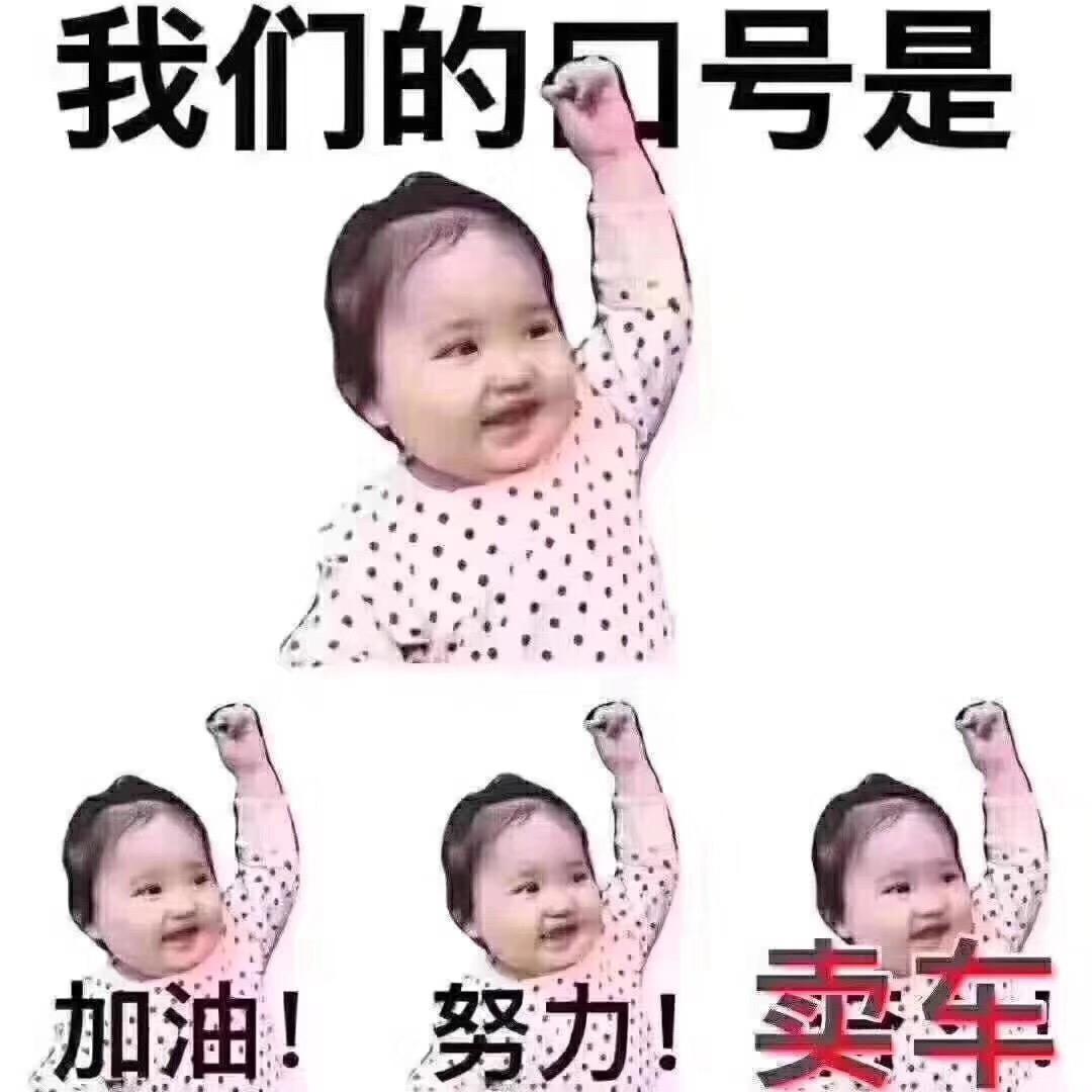专注新车、二手车买卖