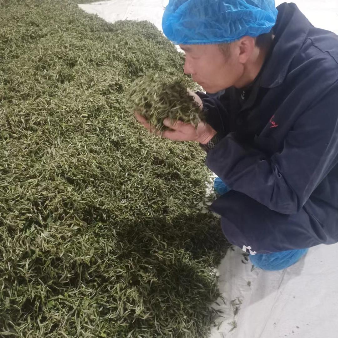 白茶厂家