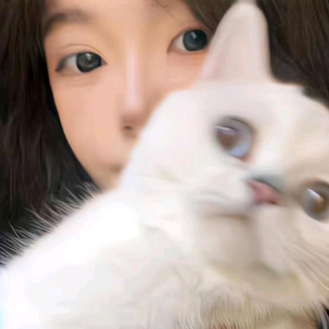￥￥