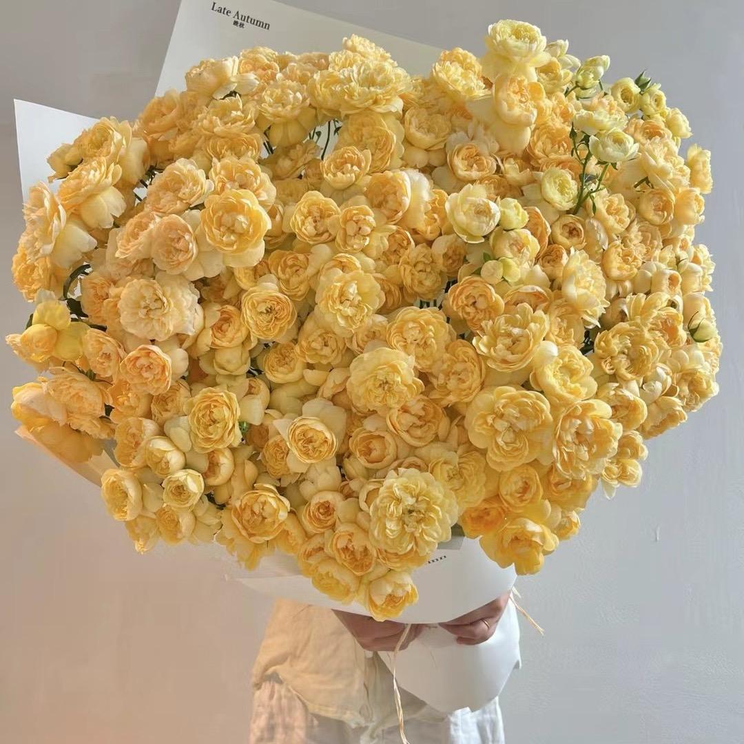 努力的小蜗牛🐌