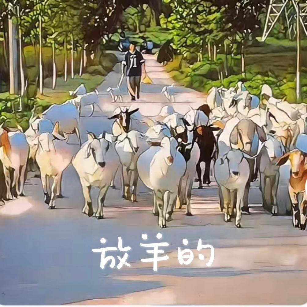 元芳啊
