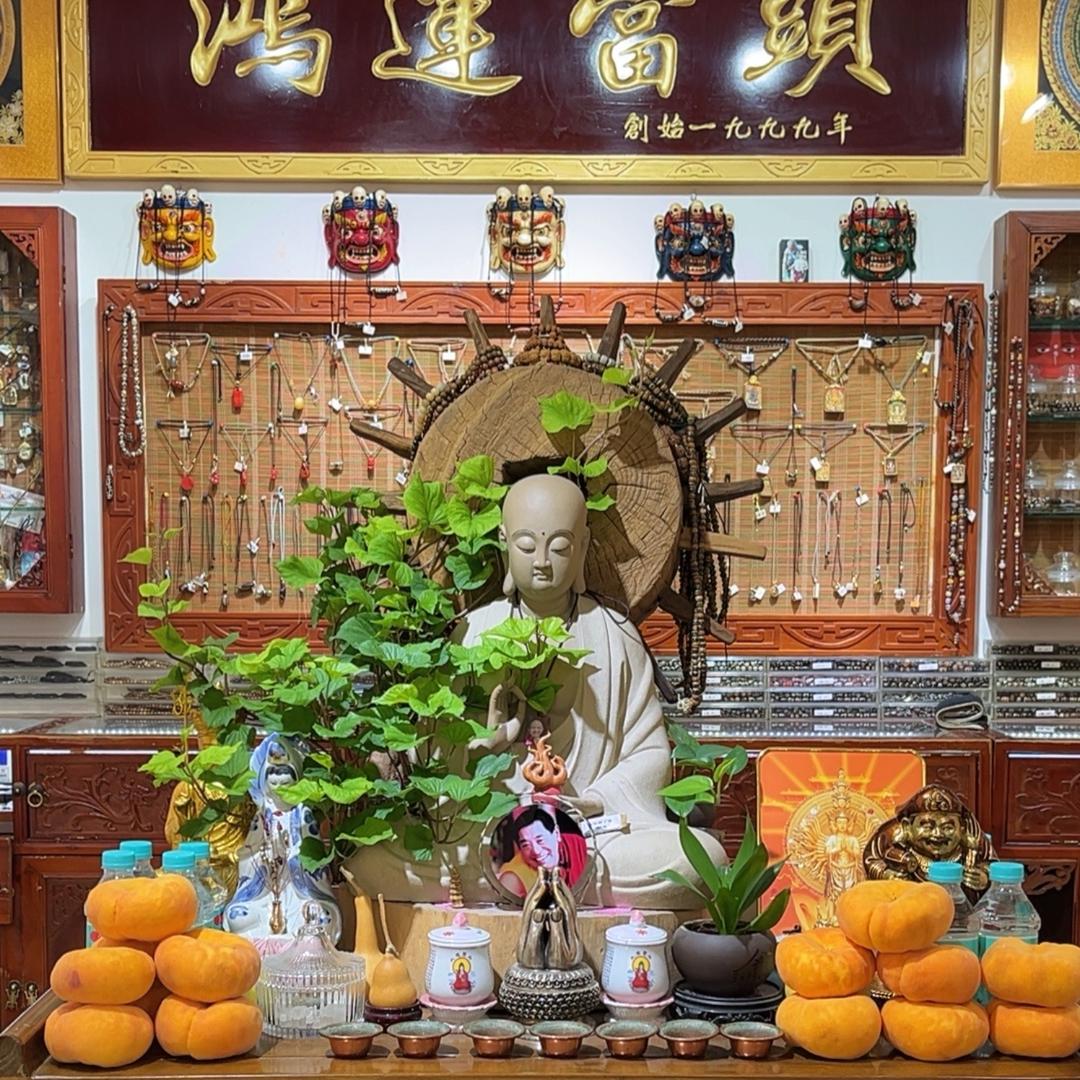 多安卓玛