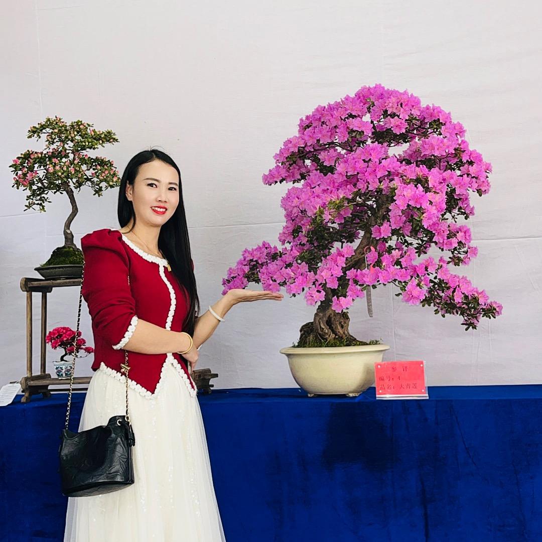 连城县姑田芯苑花卉苗圃