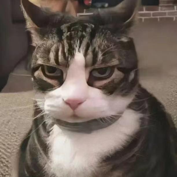 橘子明卖艺日常