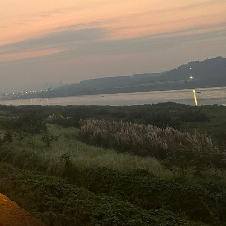 半盏流年