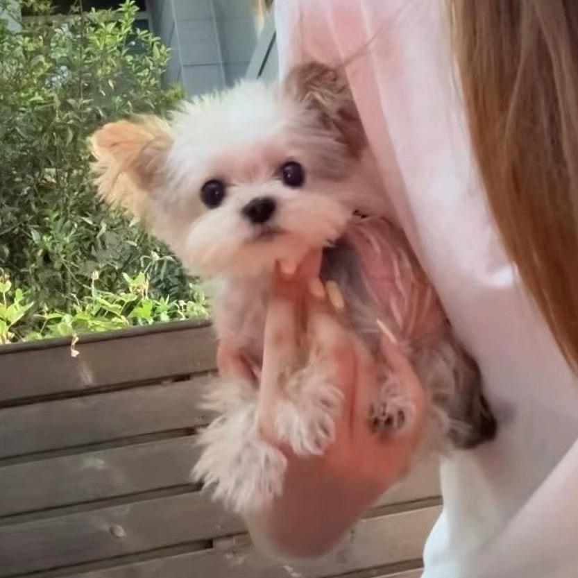 做好你的做你的