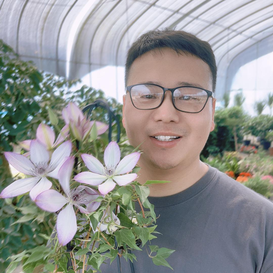 小花的花园