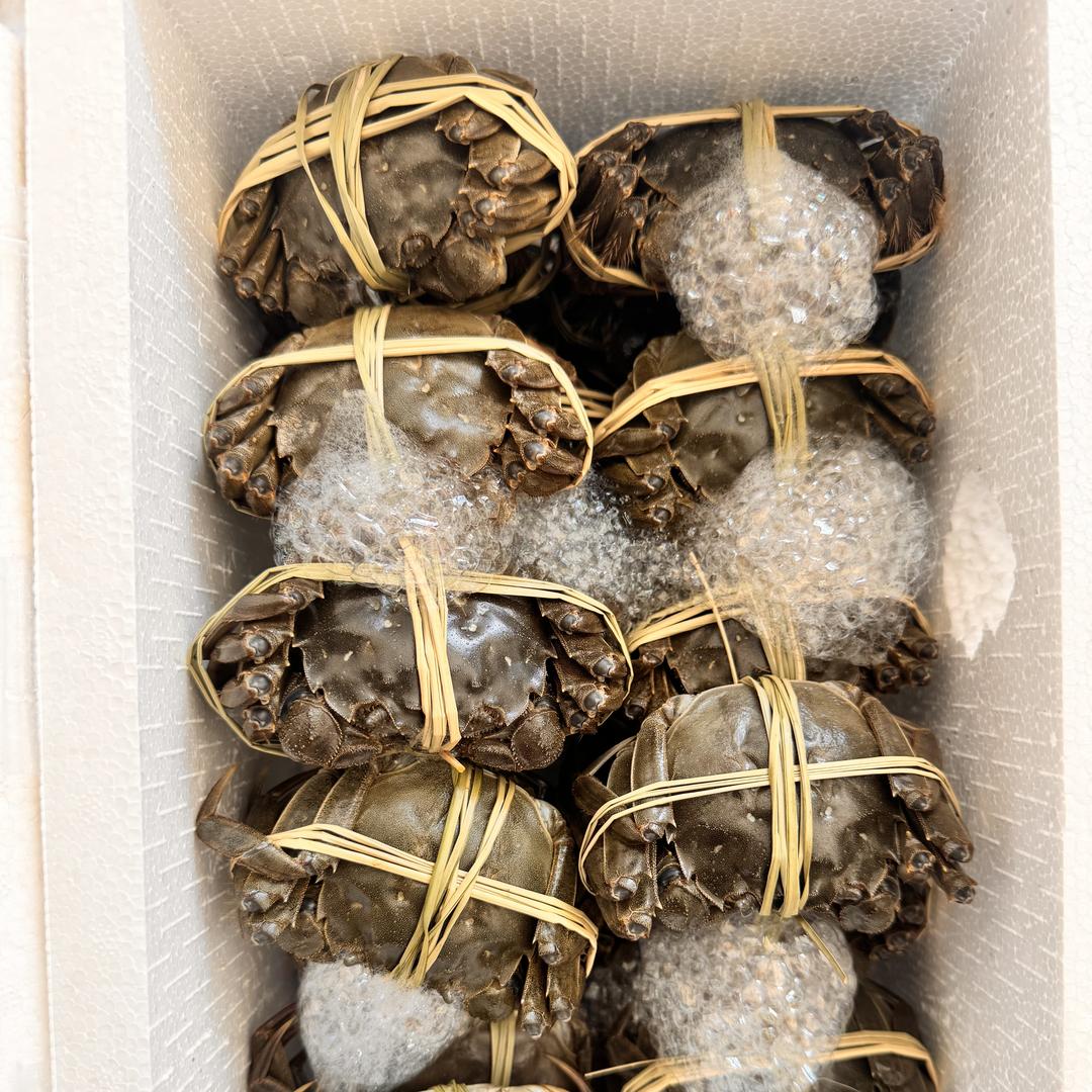 湖家兄弟微山湖水产