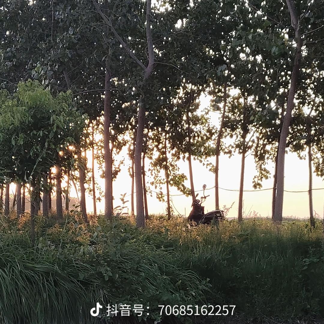 矗立天地