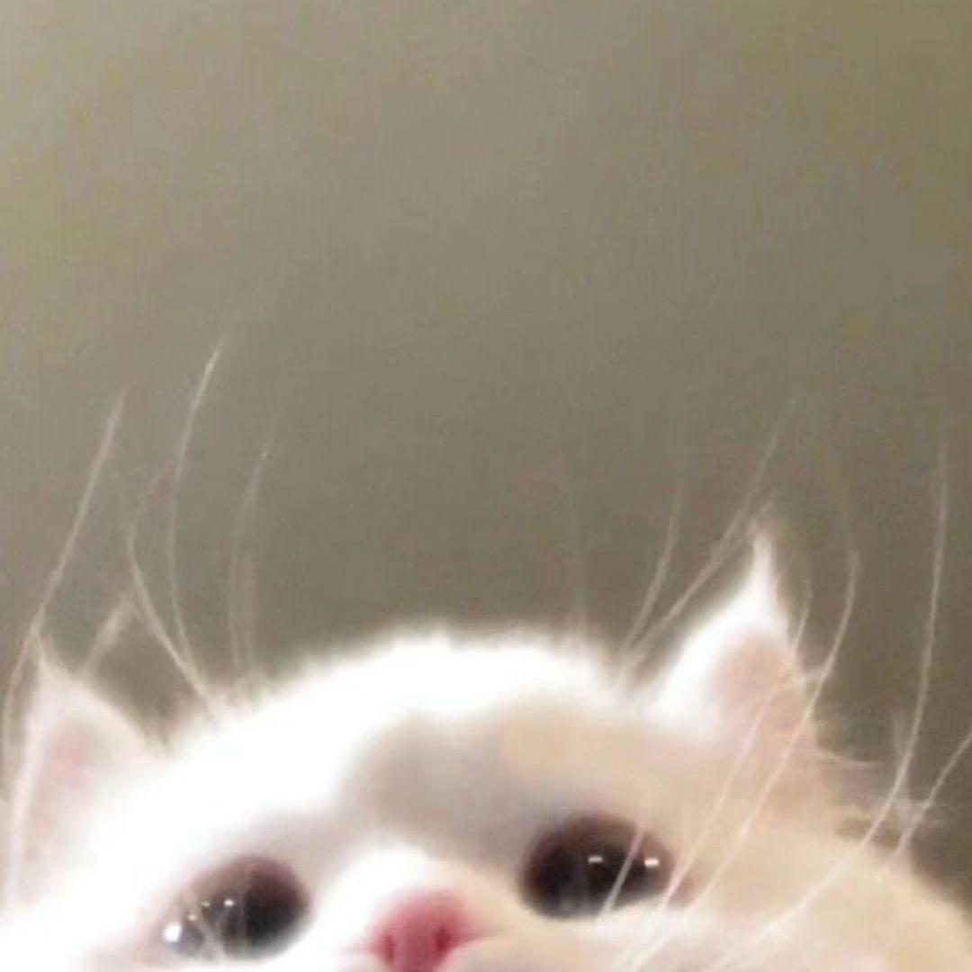 🫥K