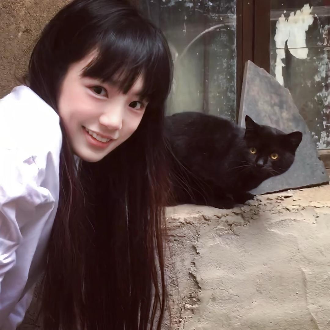 圆
