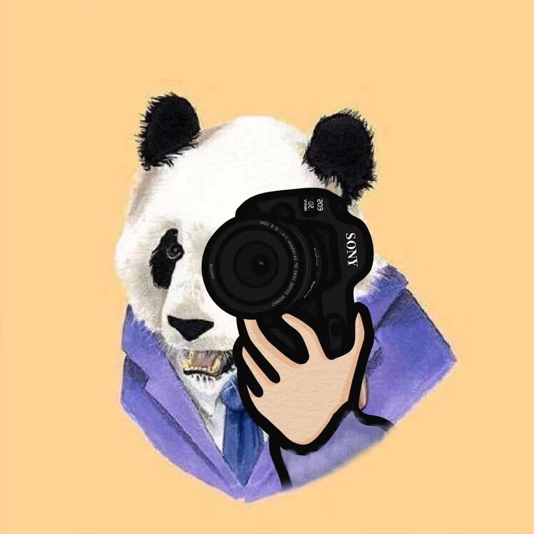 举着📷的🐼