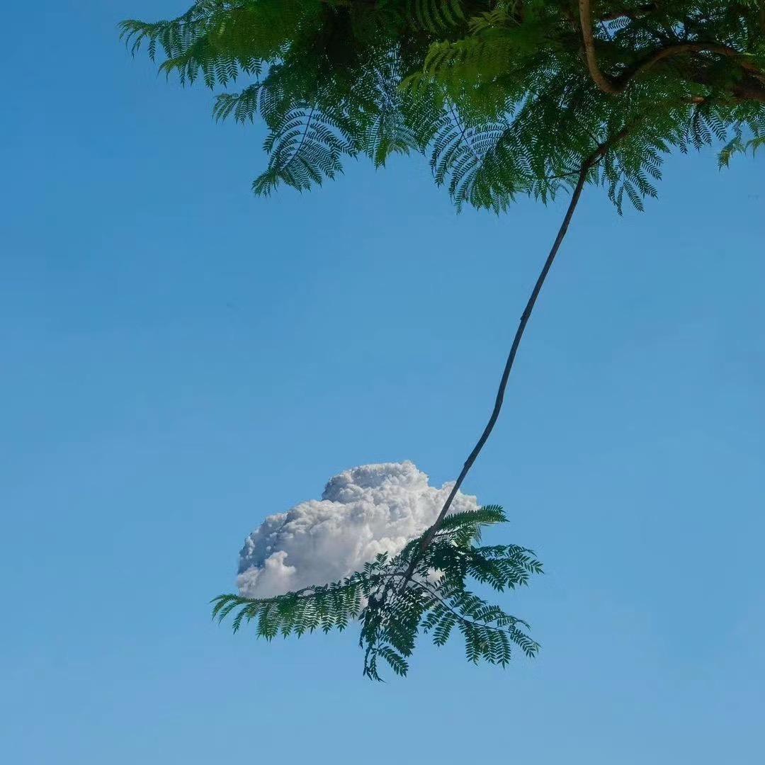 霞牵百货
