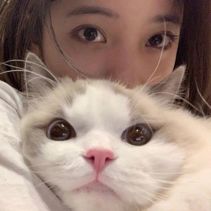 一起买菜ba