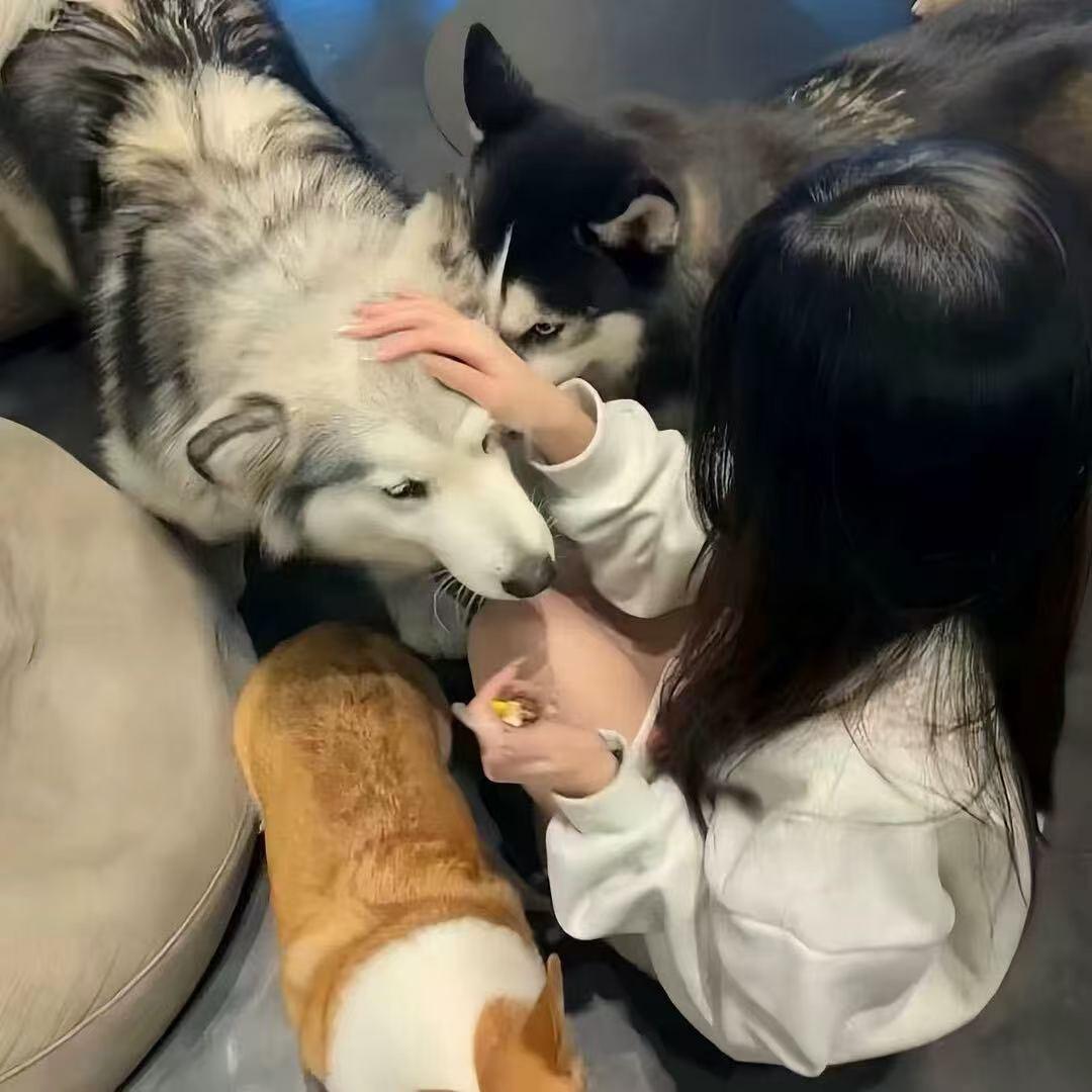 谪仙酿