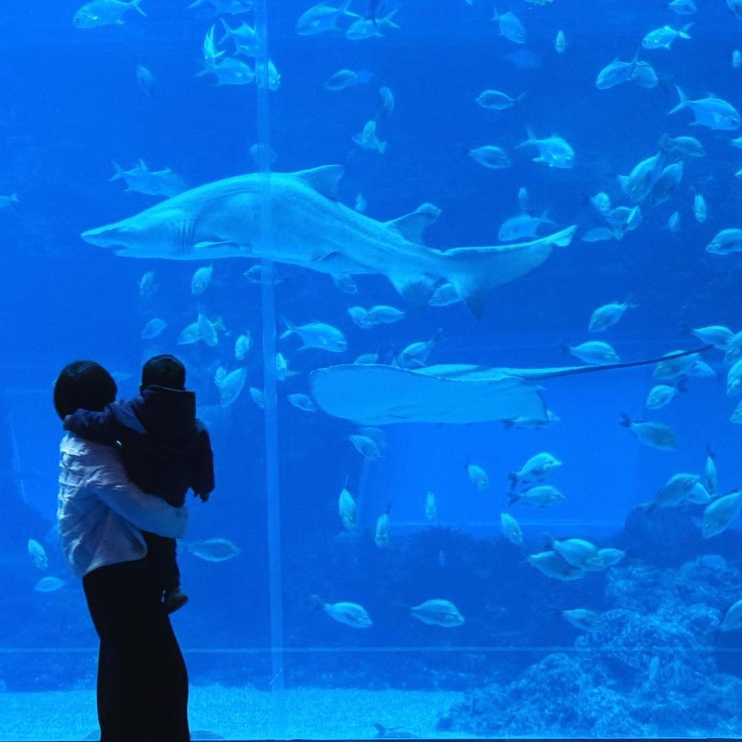 爱的人正在路上🍋