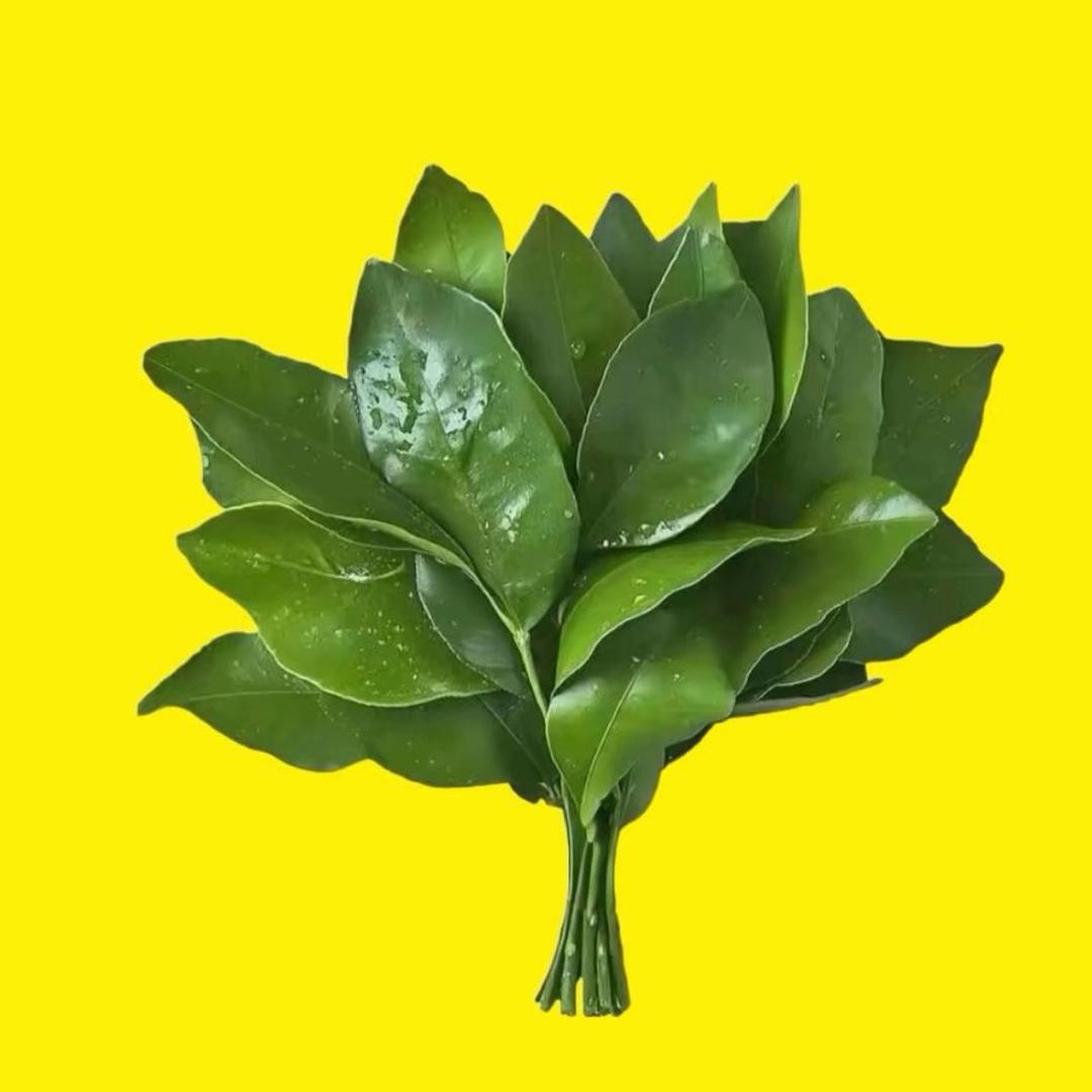 蛋挞🥧