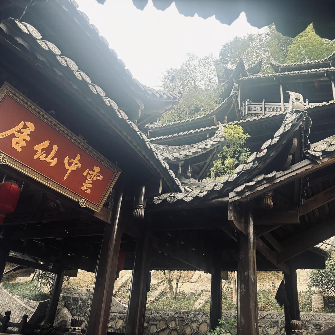 一只橘子猫丶