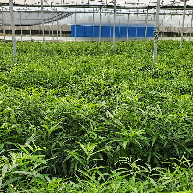 润砾农业
