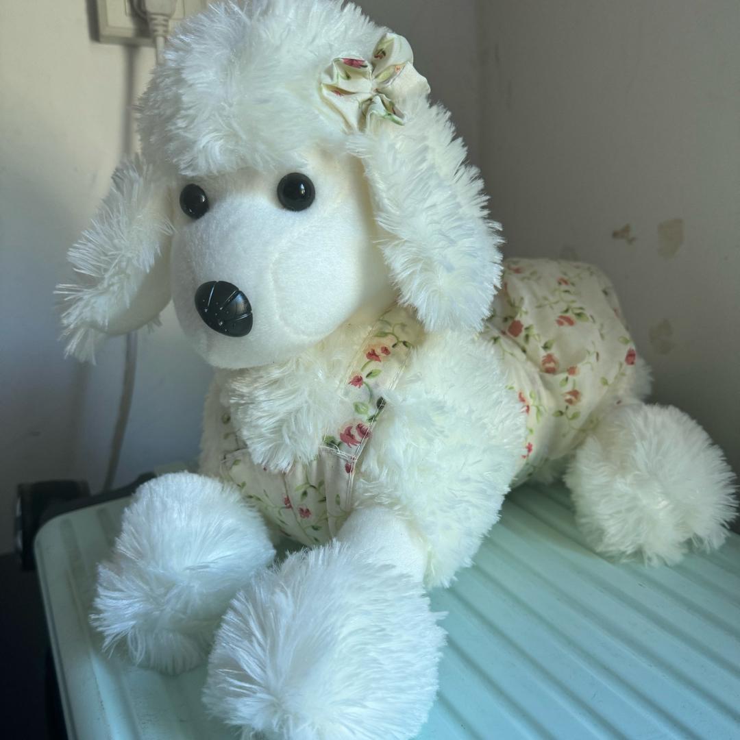 关于小杨的日记