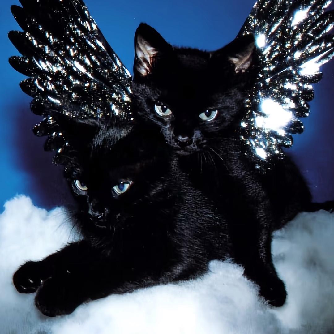 J（有钱就忘本版）