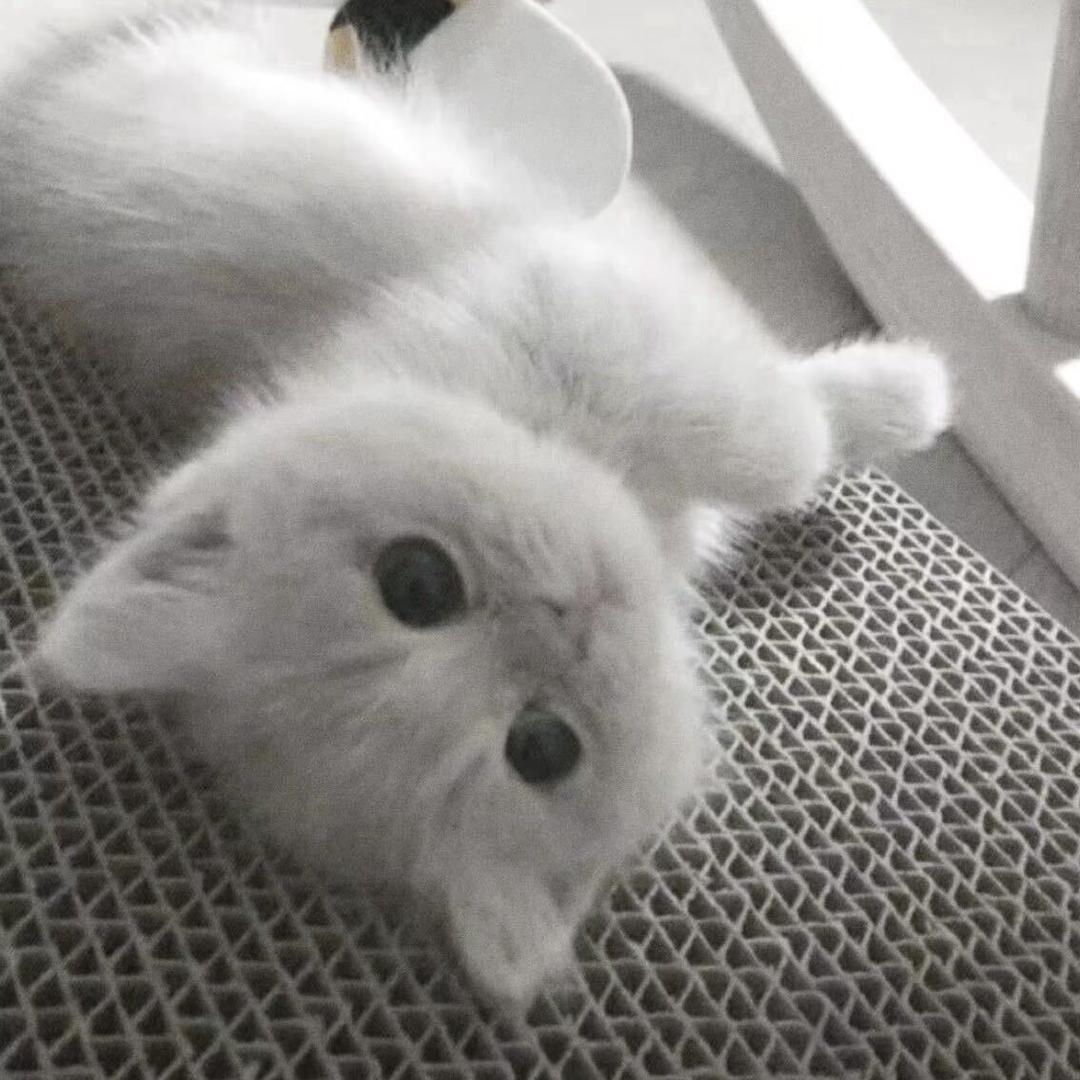 我要喜欢冰冰一辈子