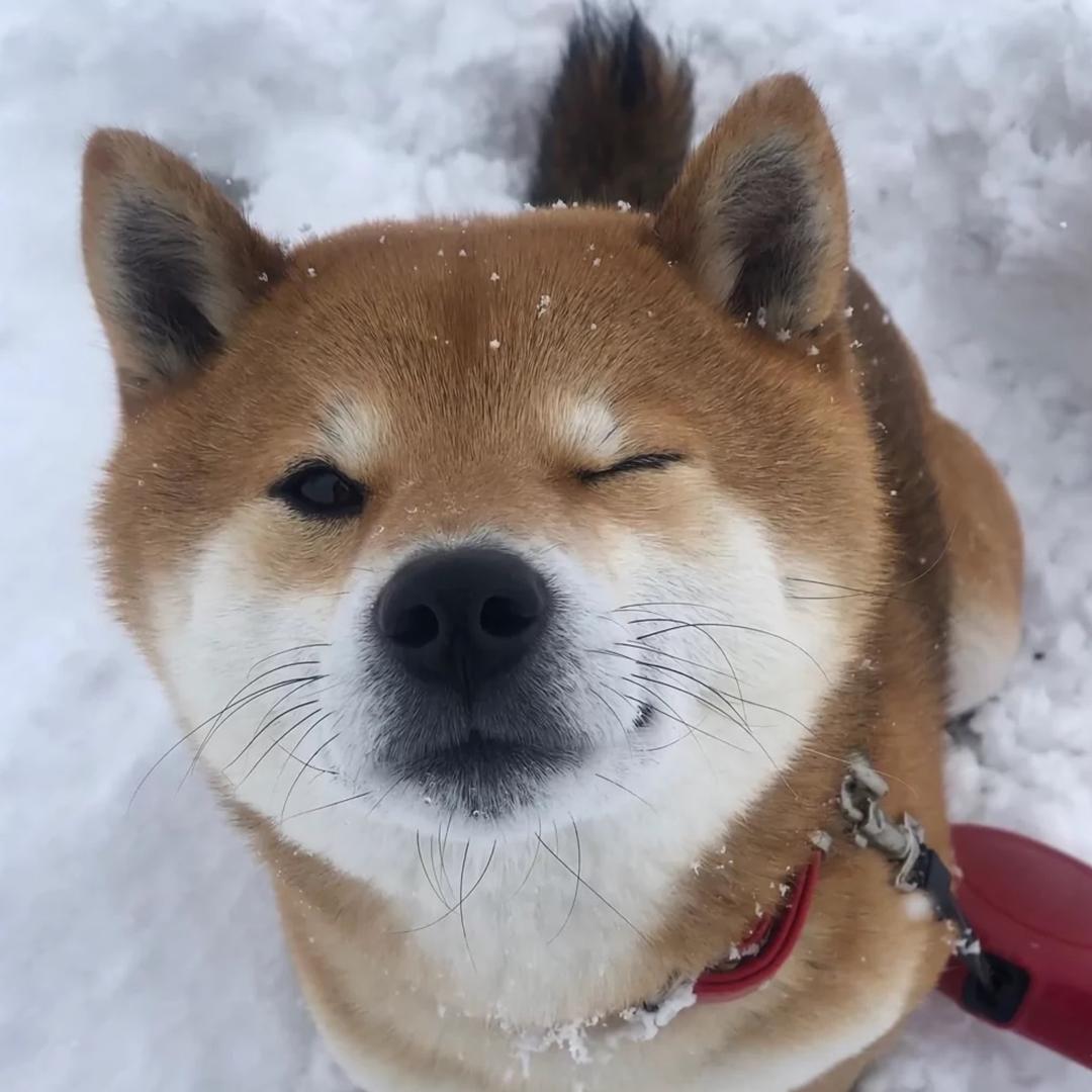 王家豪