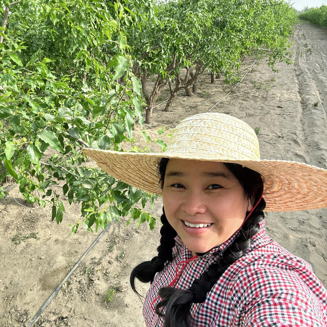 沙漠里种枣的东北妞（顺顺）