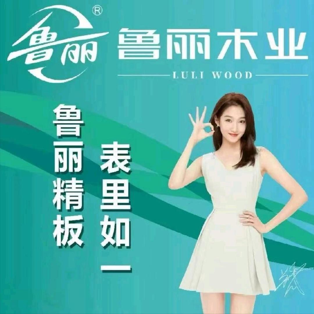 鲁丽4.0 优➕系列邯郸总代理·郭文杰