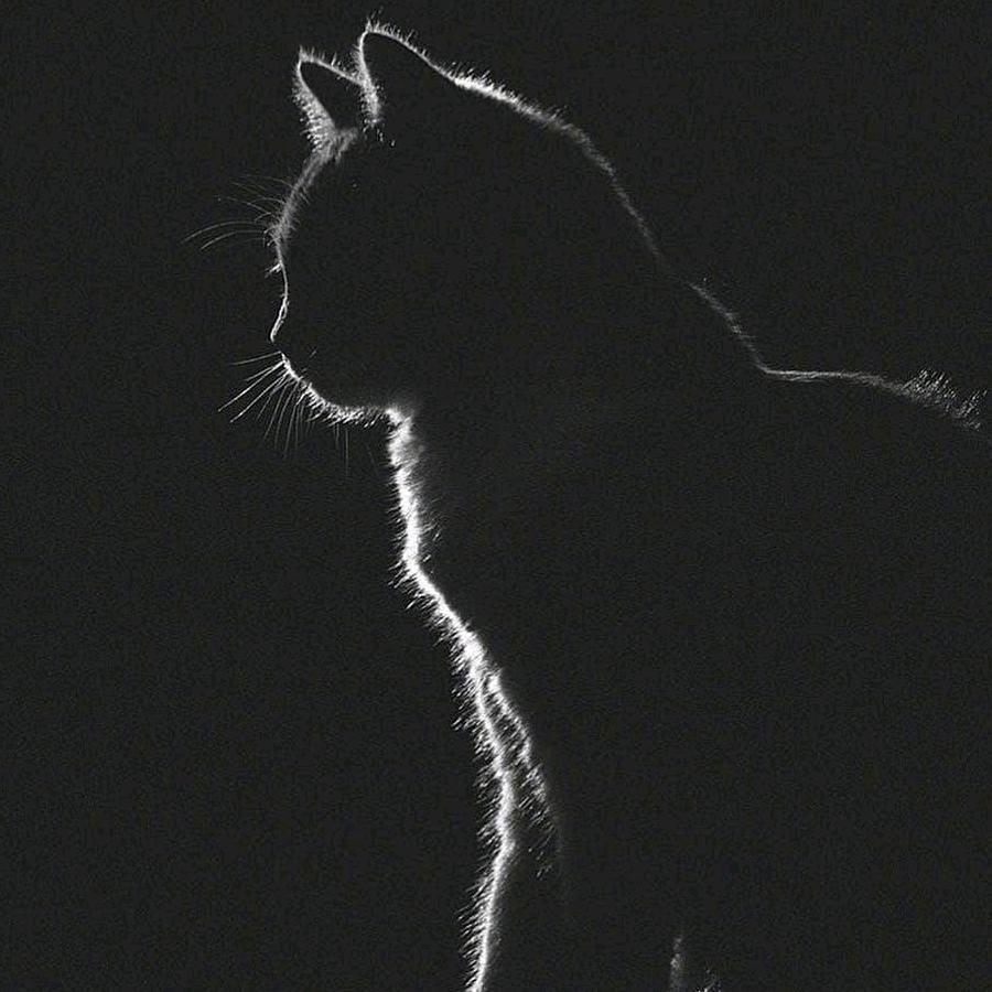 𝟕𝟕𝟕𝐙