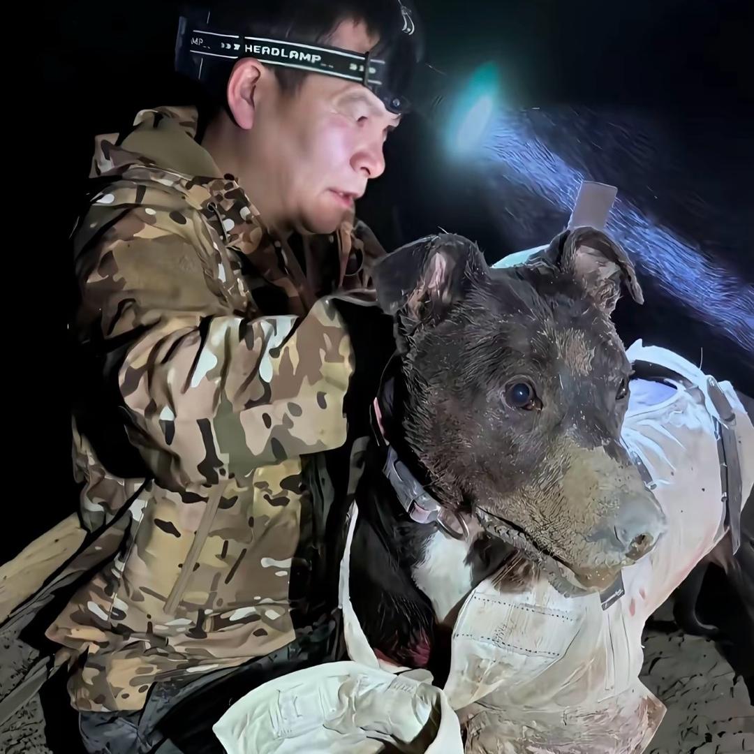 追梦.【西北刀客切片】