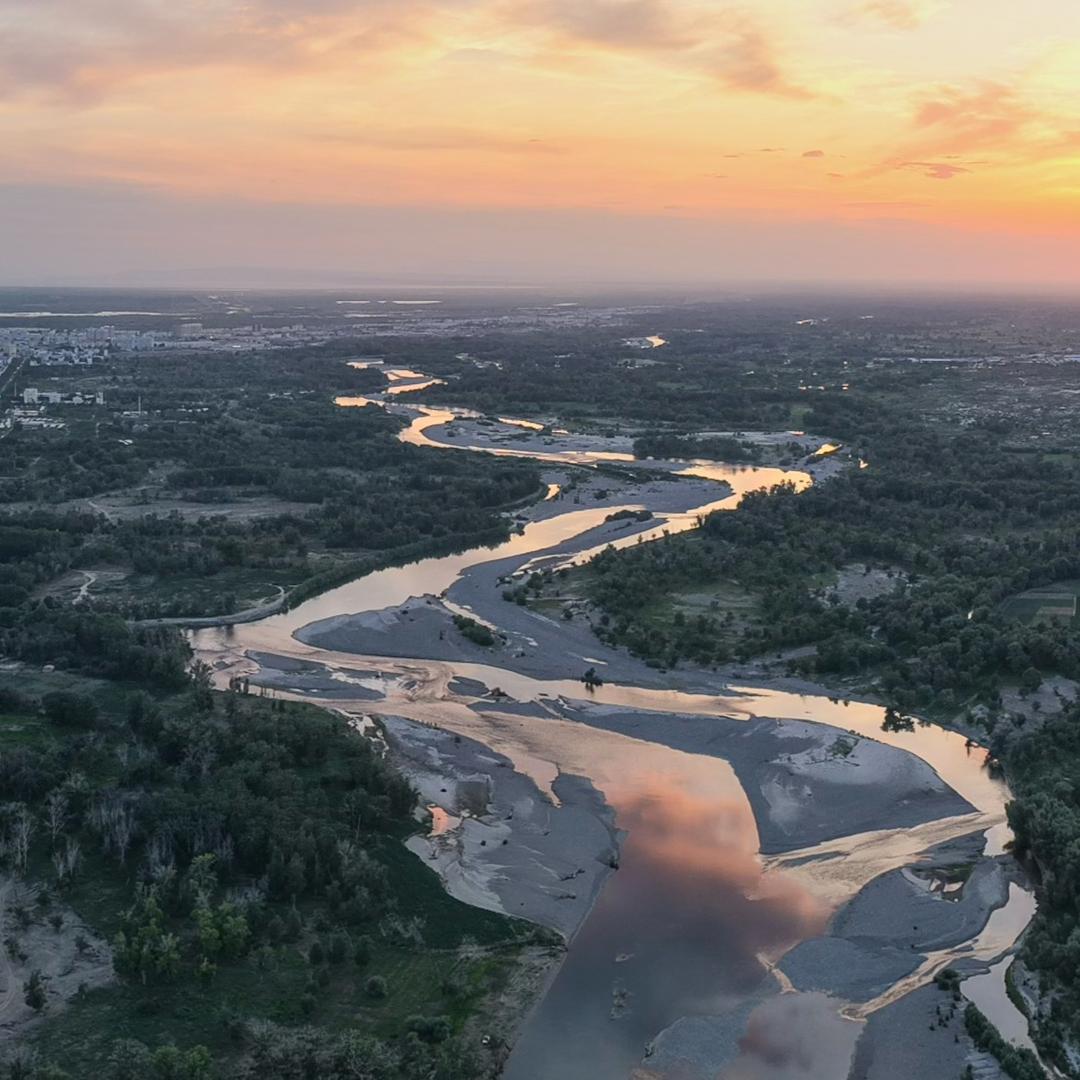 拍视频养活一家的尼克