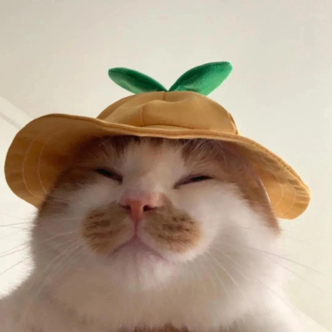 麻辣小宁