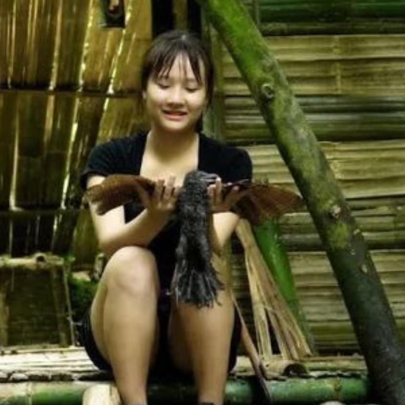 梦里看