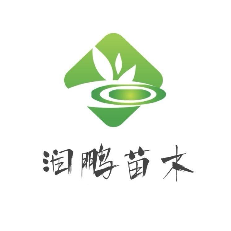 果益寿润鹏果树苗木专卖店1