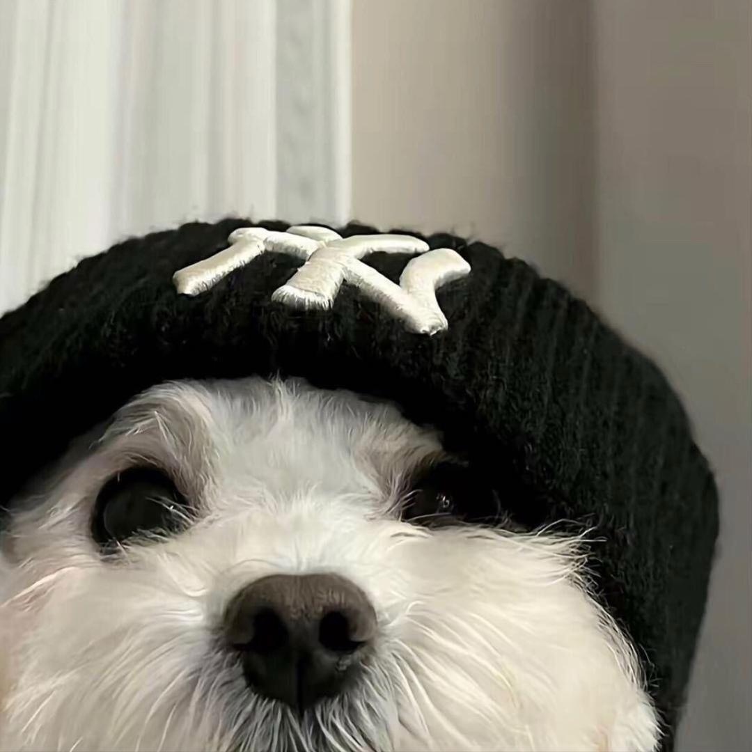 活不起你就死